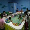 湖北大型兒童游泳池價格生產(chǎn)設備廠家供水育早教圓形兒童游泳池