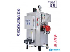 拓恩燃?xì)庹羝仩t/30KG嬰兒游泳池采暖鍋爐/高效立式燃?xì)庹羝l(fā)生器