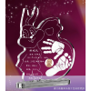 批發 水晶嬰幼兒紀念品 兔寶寶新生幼兒水晶手足印紀念品