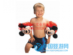 兒童寶寶通用安全加厚雙氣囊黃水袖學(xué)游泳浮圈