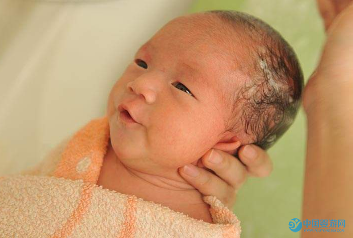 QQ截圖20170824113503