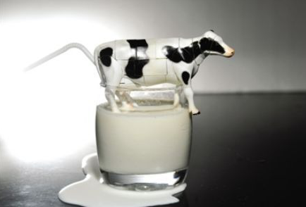 營養品牌眾多，為什么唯獨推薦牛初乳？