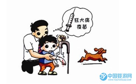 速看！四種寶寶常見事故自救方法，家長必備！ 寶寶溺水自救方法 寶寶吞食異物怎么辦 寶寶被寵物咬傷怎么辦2